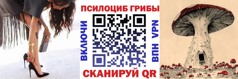 Псилоцибиновые грибы MAGIC MUSHROOMS Заводоуковск