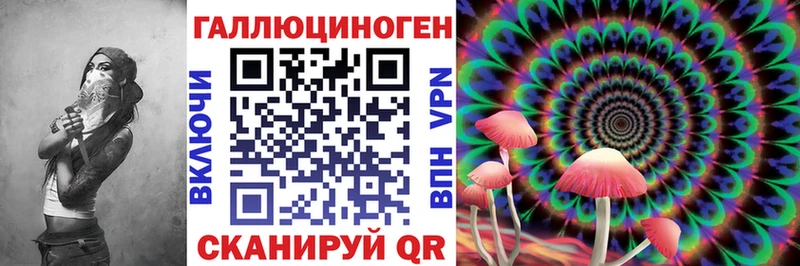 Псилоцибиновые грибы Magic Shrooms  Заводоуковск 