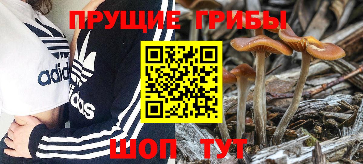 Галлюциногенные грибы мухоморы Заводоуковск