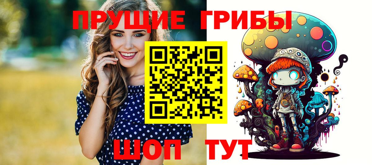 Заводоуковск  Галлюциногенные грибы мухоморы  Вход с VPN  Галлюциногенные грибы Psilocybine cubensis 